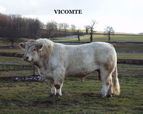 vicomte